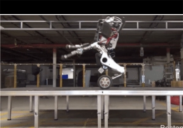 رباتی که اندازه چهارپایان در حرکت منعطف است/ عکس