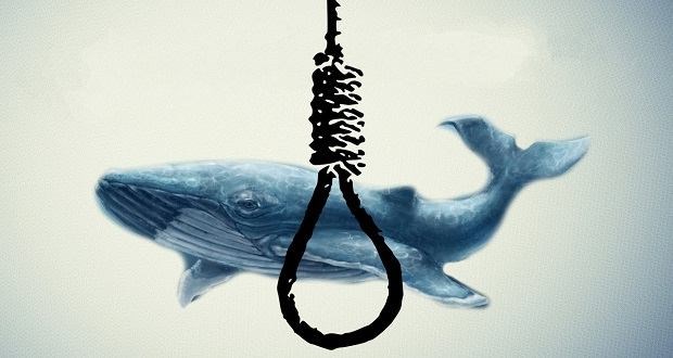 8 حقیقت تکان دهنده در مورد بازی شیطانی چالش نهنگ آبی + عکس